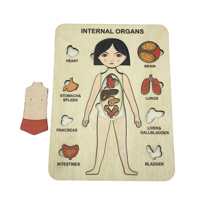 Bodywise | Ontdek Het Lichaam - Anatomie Puzzel
