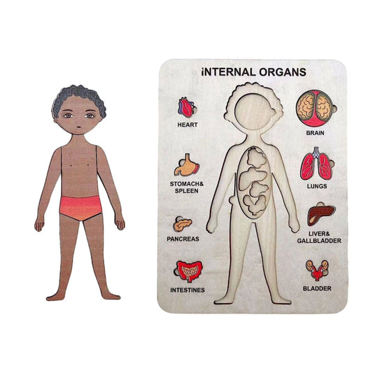 Bodywise | Ontdek Het Lichaam - Anatomie Puzzel