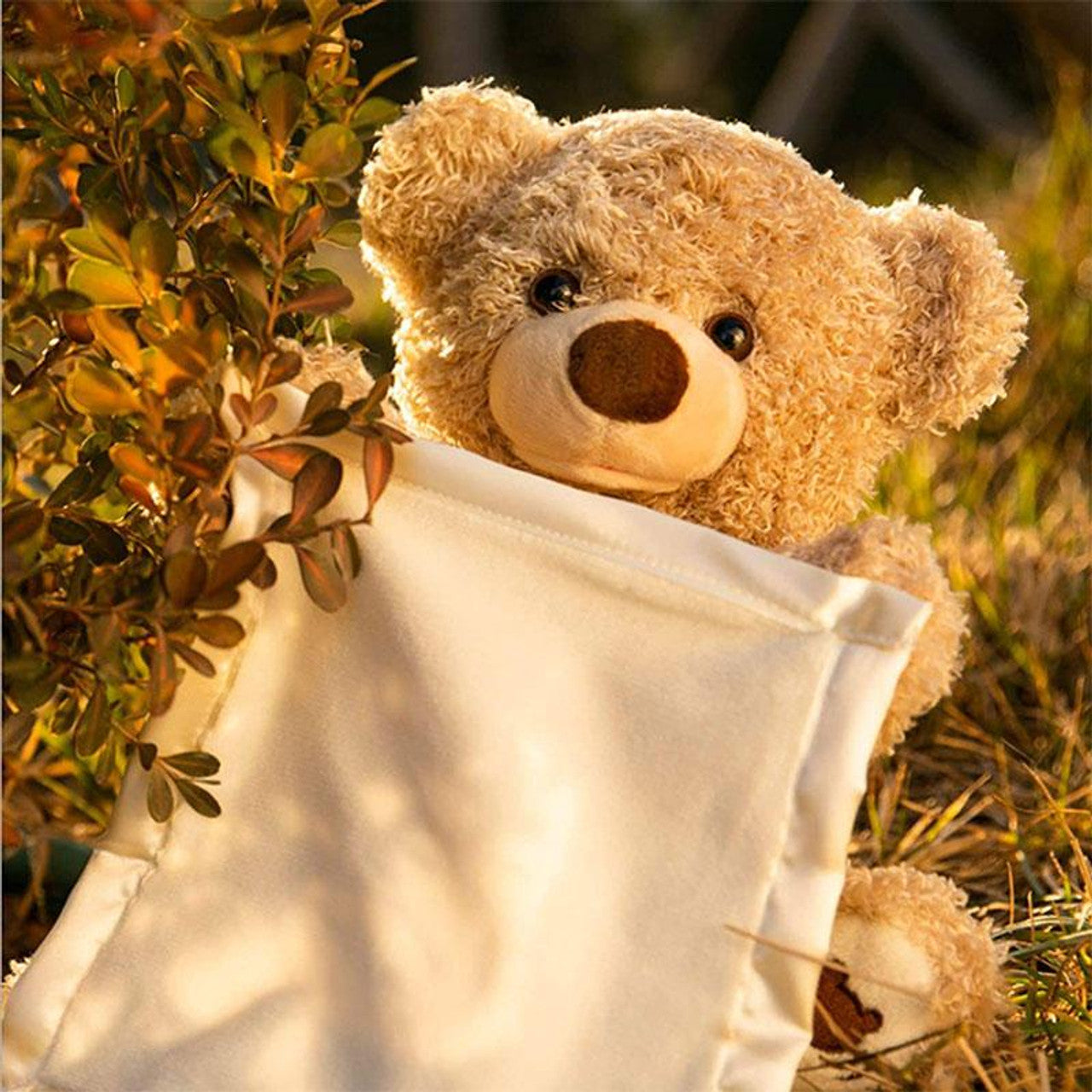 Peekaboo | Knuffelzacht Kiekeboe Spel - Speelgoedbeer