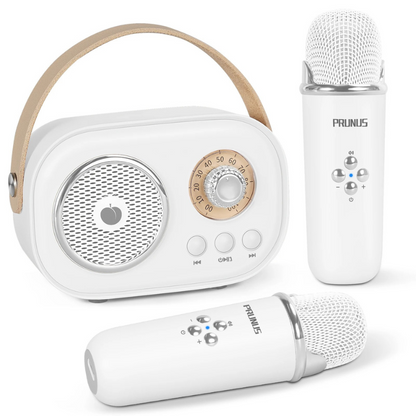 SingBuddy | Samen zingen - Karaoke Set