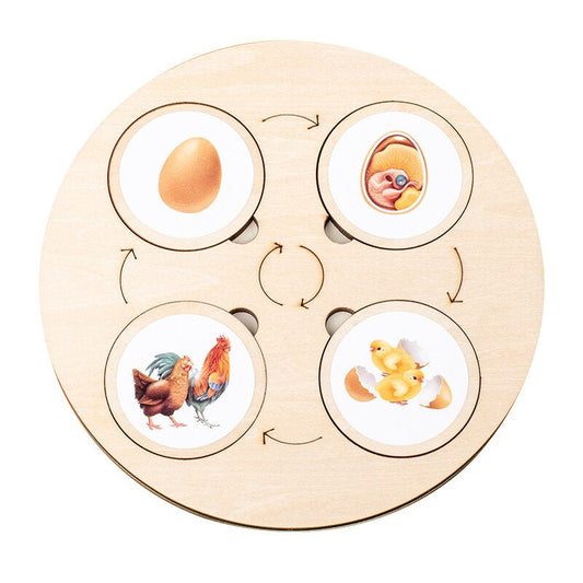 Cyclequest | Ontdek De Natuur - Educatief Puzzelspel