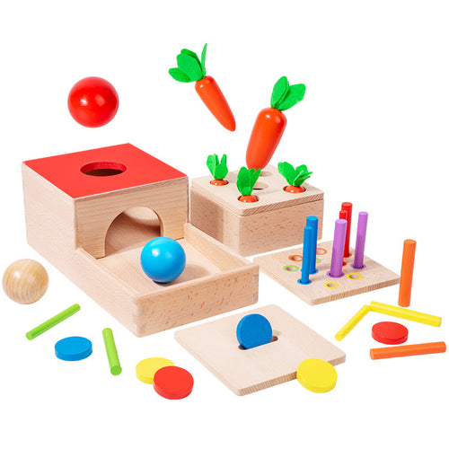 Houten Sorteerbox | Spelen, sorteren en groeien