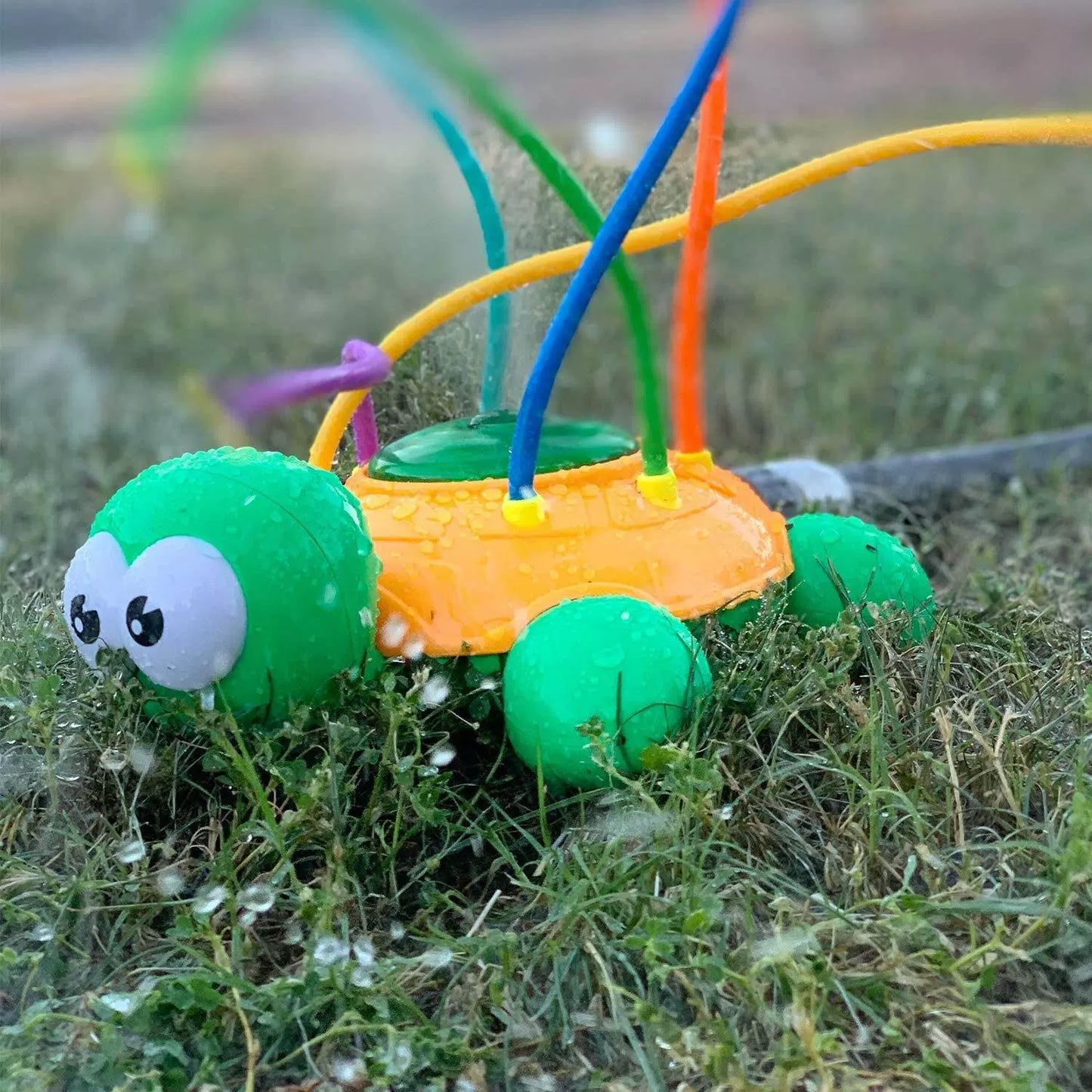 Turtlesplash | Spelen En Spetteren In De Zon - Waterspeelgoed