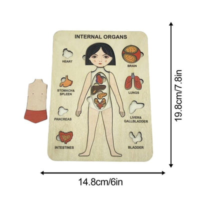 Bodywise | Ontdek Het Lichaam - Anatomie Puzzel