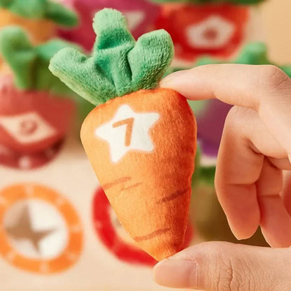 Carrotplay | Voelen En Ontdekken - Sensorisch Speelgoed
