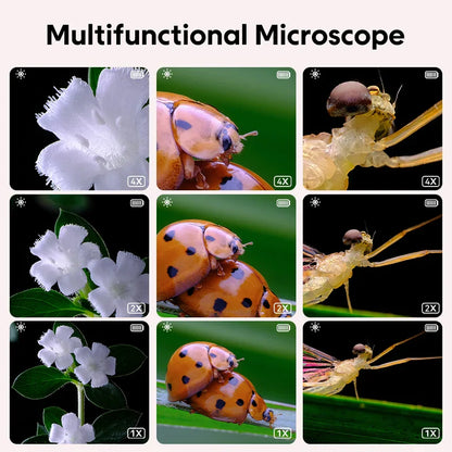 Miniscope | Onderzoek De Wereld - Digitale Microscoop