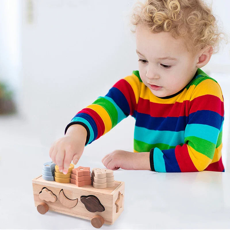 Sortiwood | Educatief Sorteren En Spelen - Houten Sorteerspel